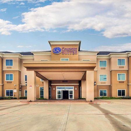 Comfort Suites Fort Worth South Eksteriør bilde
